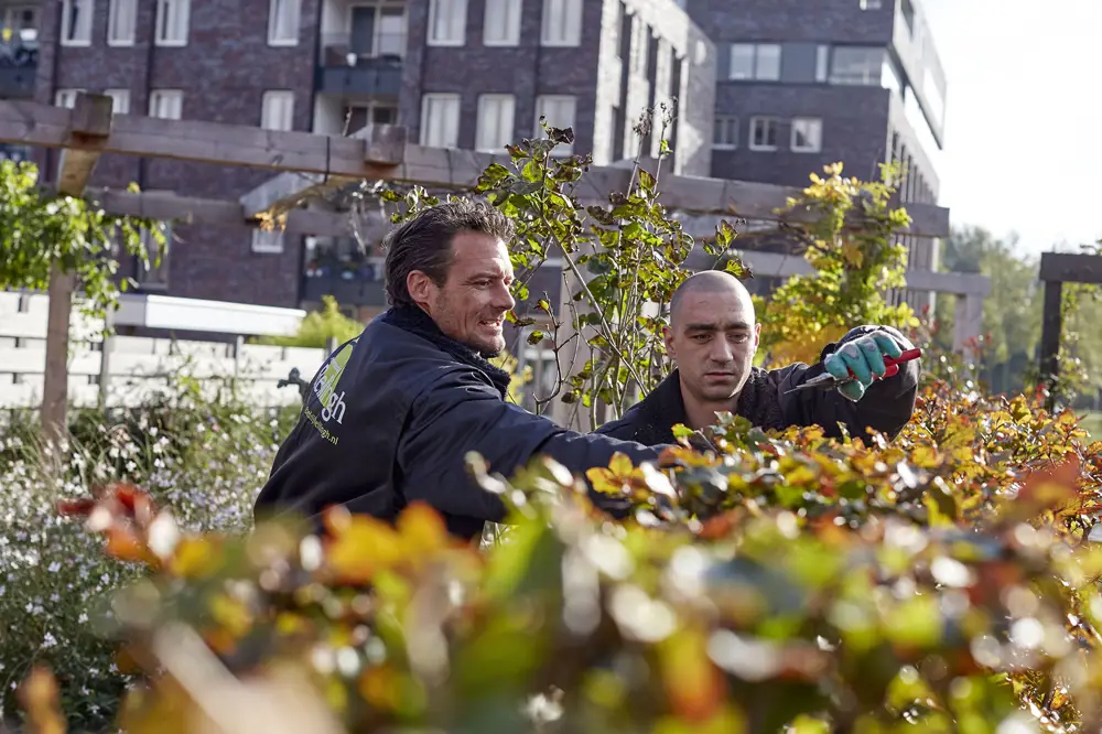 Ontwikkelpad Hoveniers en Groenvoorziening